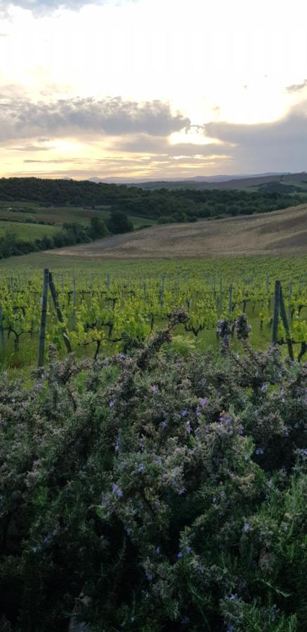 Agriturismo Bagnaia San Quirico dʼOrcia Exteriör bild