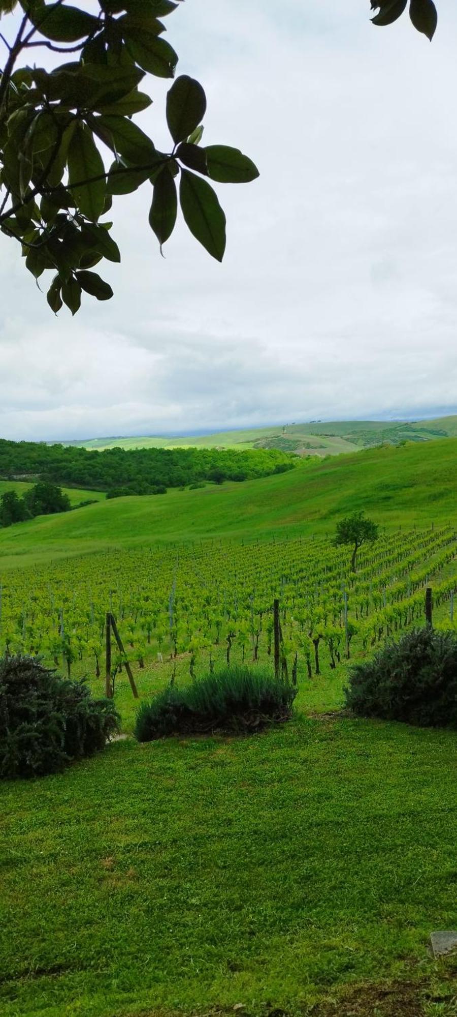 Agriturismo Bagnaia San Quirico dʼOrcia Exteriör bild