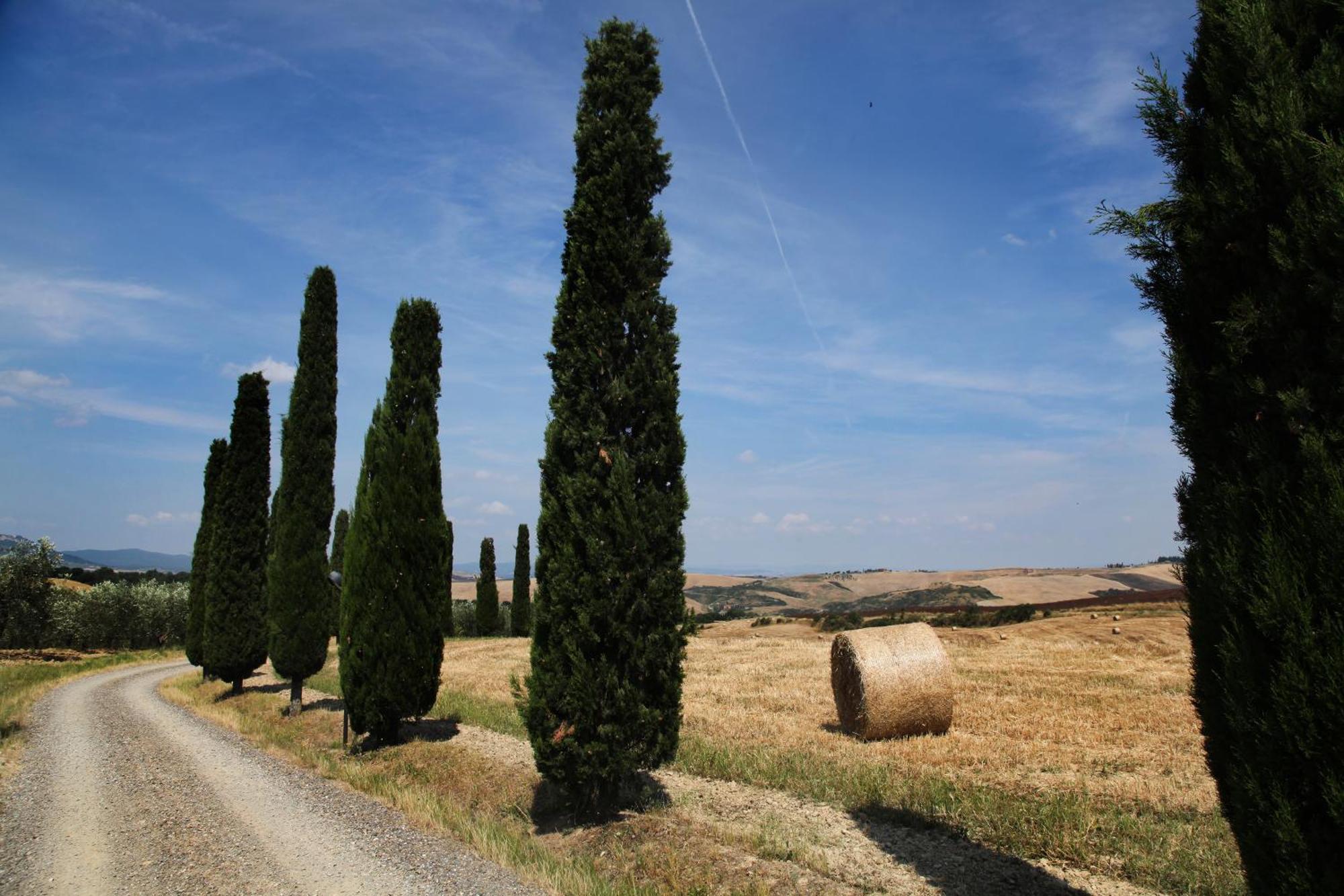 Agriturismo Bagnaia San Quirico dʼOrcia Exteriör bild