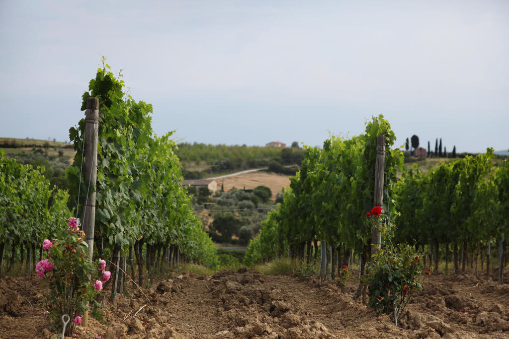 Agriturismo Bagnaia San Quirico dʼOrcia Exteriör bild