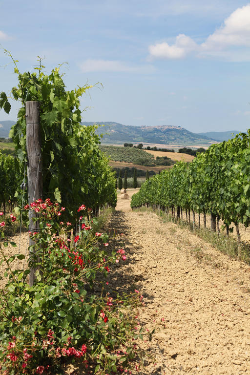 Agriturismo Bagnaia San Quirico dʼOrcia Exteriör bild