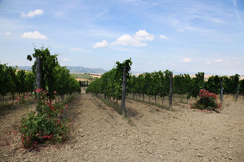 Agriturismo Bagnaia San Quirico dʼOrcia Exteriör bild