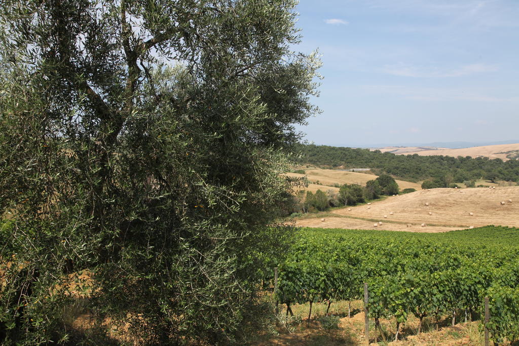 Agriturismo Bagnaia San Quirico dʼOrcia Exteriör bild
