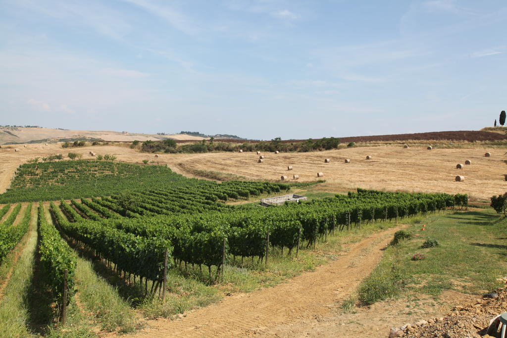 Agriturismo Bagnaia San Quirico dʼOrcia Exteriör bild