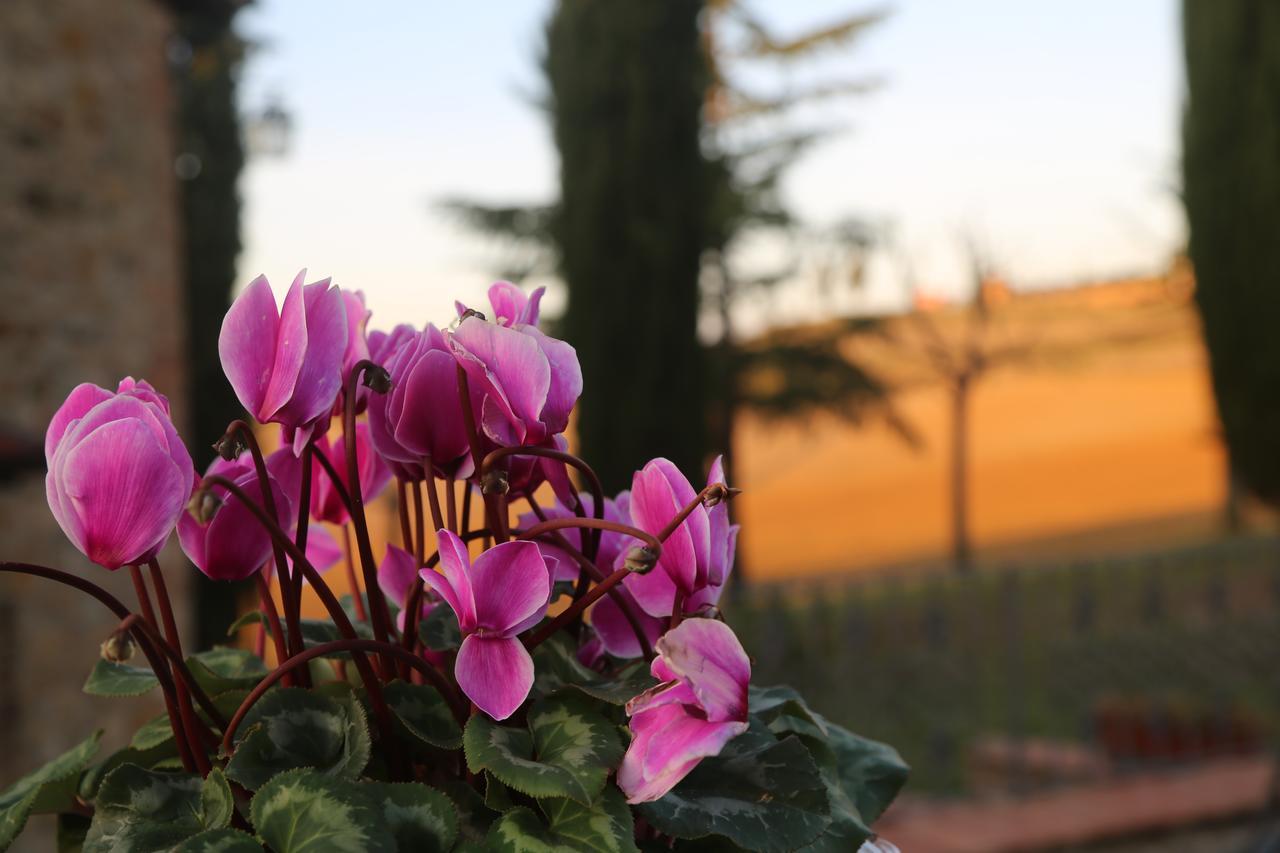Agriturismo Bagnaia San Quirico dʼOrcia Exteriör bild